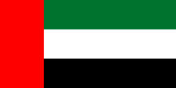 uae visit visa application form